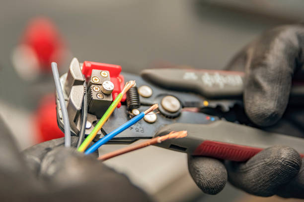 Best Licensed Electrician  in Laupahoehoe, HI