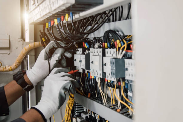 Best Electric Panel Repair  in Laupahoehoe, HI